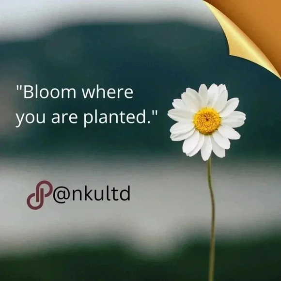 🆕️ 40oz Stainless Steel Double‎ Wall Travel Mug Tumbler with Handle & Straw 🥤 - Picture 10 of 12